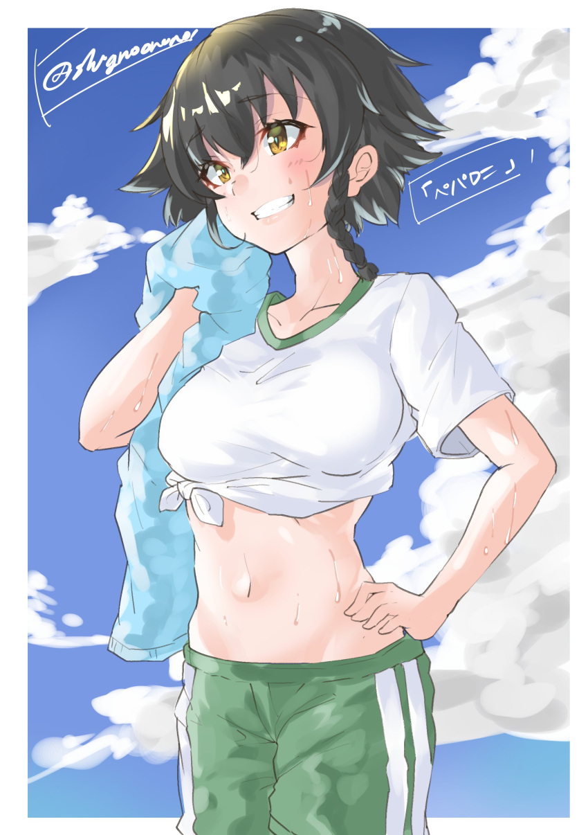 1girl, absurdres, bangs, black_hair, blue_sky, braid, breasts, brown_eyes