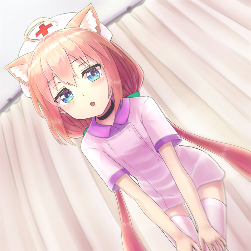 1girl, :o, ahoge, animal_ears, bangs, blue_eyes, blush, cat_ears