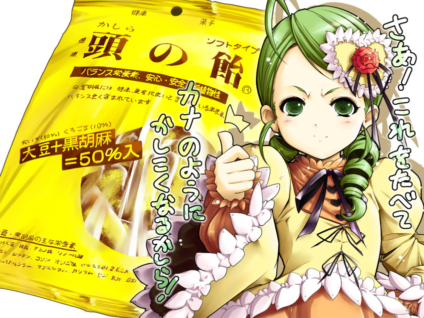 drill_hair, green_eyes, green_hair, hamuhamu, highres, kanaria, rozen_maiden, translated