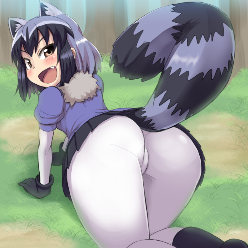 1girl, :d, all_fours, animal_ears, arched_back, ass, bangs, black_gloves, black_hair, black_skirt, blue_sweater, blush, bodystocking, brown_eyes, commentary_request, common_raccoon_(kemono_friends), day, extra_ears, fang, foreshortening, from_behind, fur_collar, gloves, grass, grey_hair, impossible_clothes, kemono_friends, long_sleeves, looking_at_viewer, microskirt, multicolored_hair, open_mouth, outdoors, pleated_skirt, puffy_short_sleeves, puffy_sleeves, raccoon_ears, raccoon_tail, short_hair, short_over_long_sleeves, short_sleeves, skin_tight, skirt, smile, solo, striped_tail, subarutu, sweater, tail
