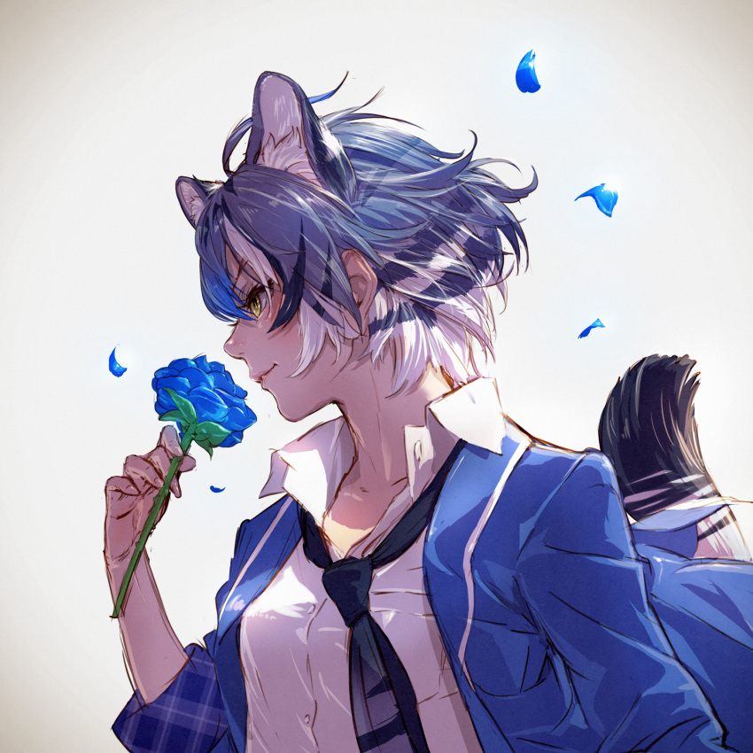 1girl, animal_ear_fluff, animal_ears, backlighting, bangs, blue_flower, blue_hair, blue_jacket