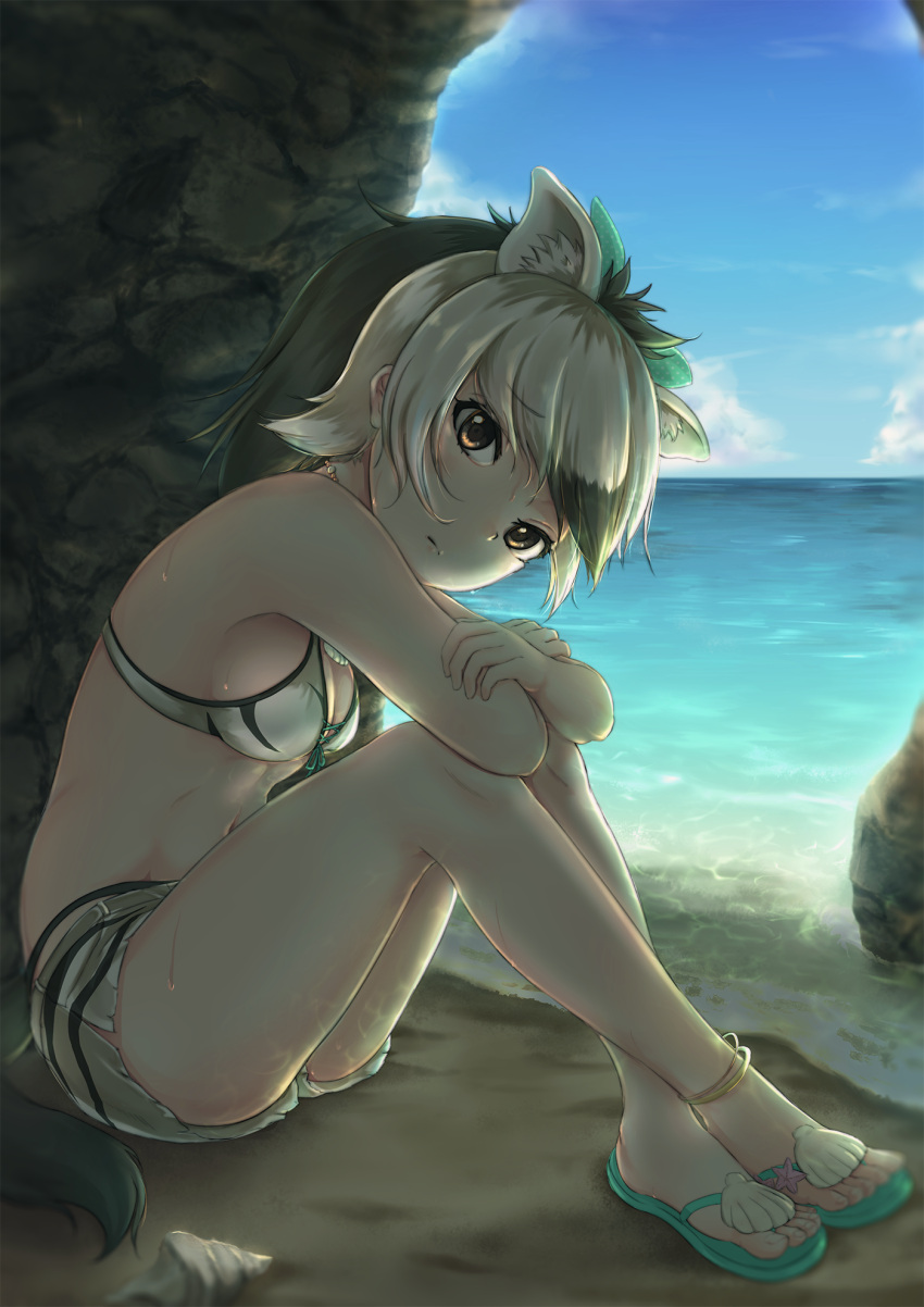 1girl, aardwolf_(kemono_friends), aardwolf_ears, aardwolf_tail, animal_ears, backlighting, bangs, bare_arms