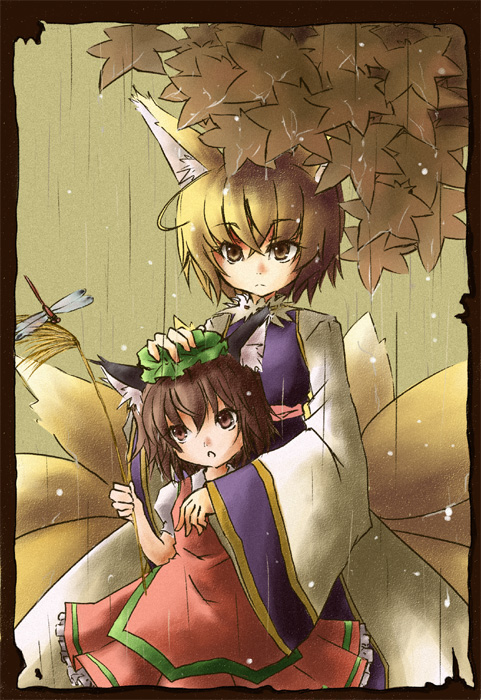 animal_ears, blonde_hair, brown_hair, cat_ears, chen, dragonfly, fox_ears, fox_tail, hat, multiple_girls, multiple_tails, rain, sasakura_koneri, short_hair, tail, touhou, yakumo_ran
