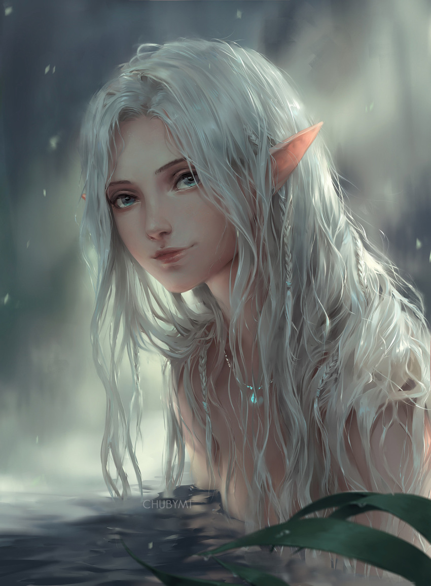 1girl, blue_eyes, blurry, blurry_background, braid, chuby_mi, elf, highres