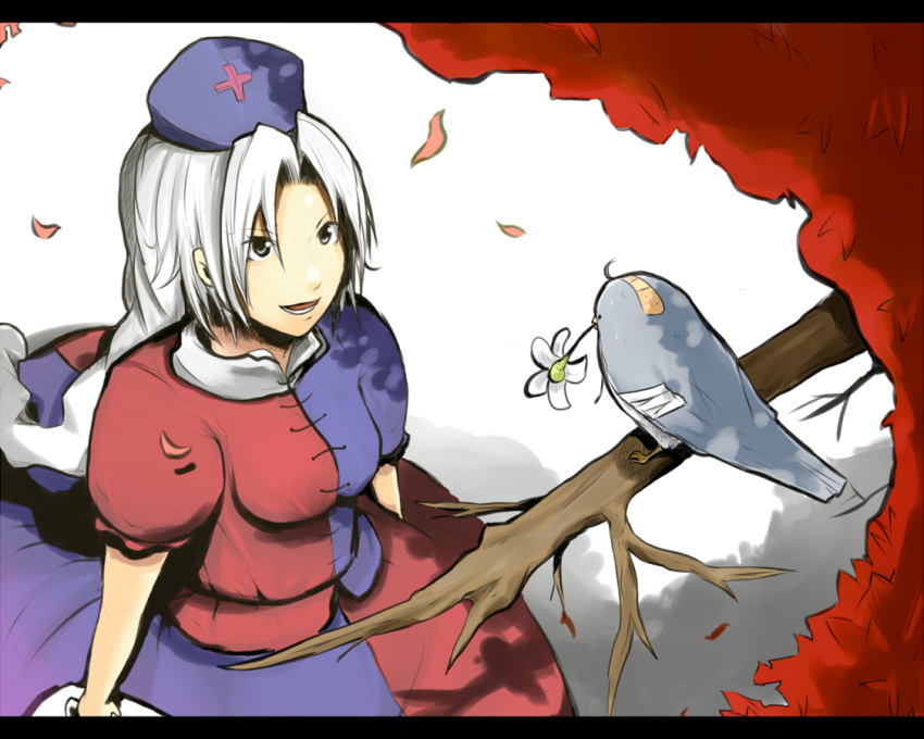 birds, flower, hat, long_hair, sergei_(artist), serugei, silver_hair, touhou