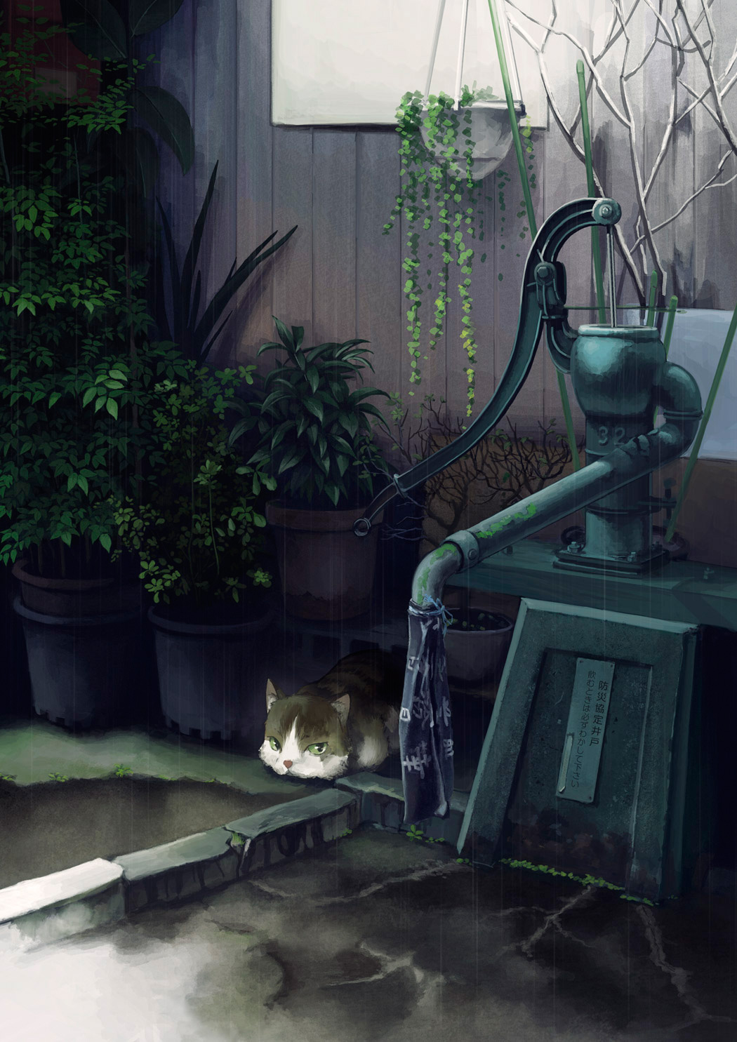 animal, bonsai, cat, cloth, concrete, day, fence, green_eyes