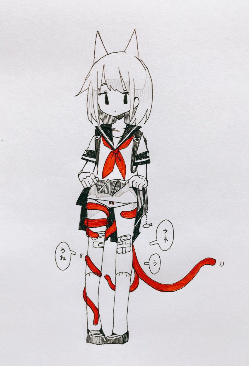 1girl, animal_ears, bandaid_on_leg, bangs, bow, bow_panties, cat_ears, cat_tail