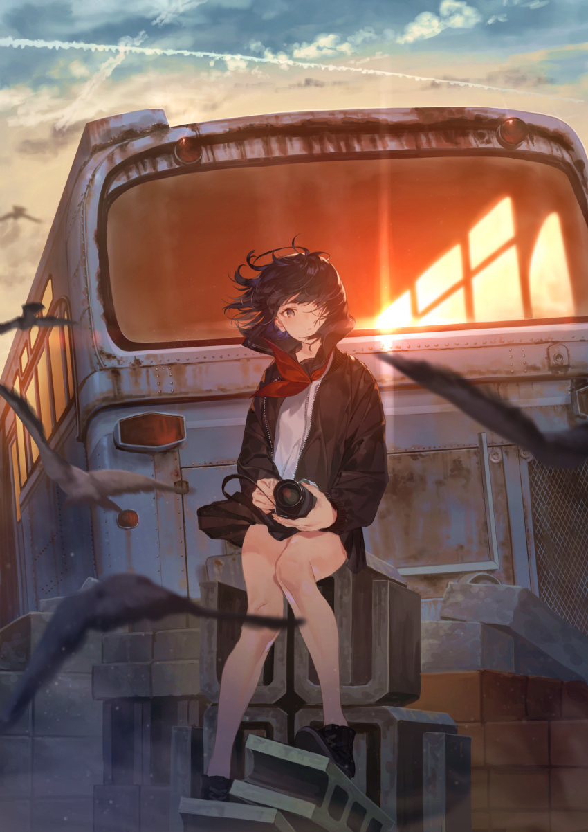 1girl, bare_legs, bird, black_hair, bus, camera, commentary, ground_vehicle