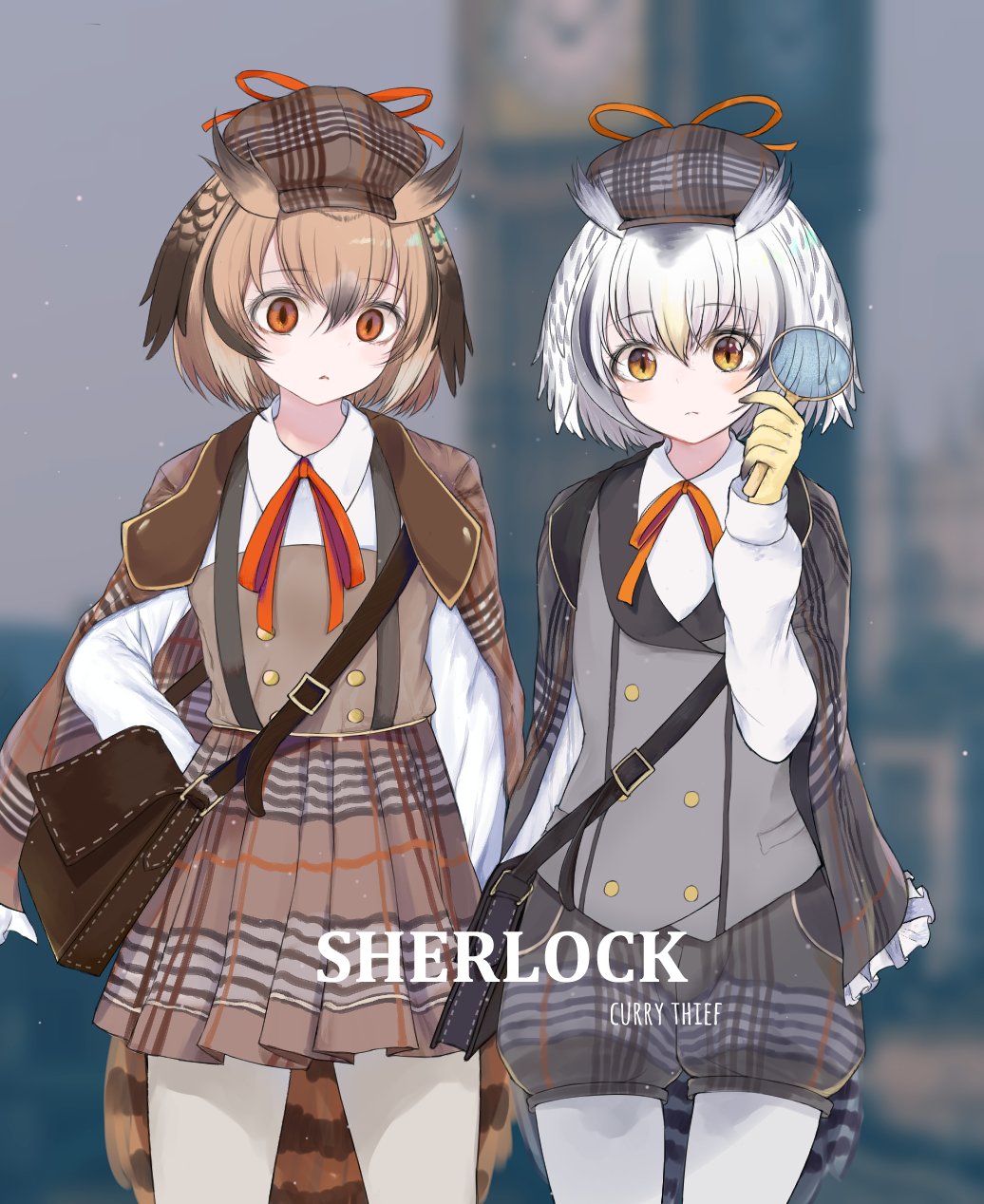 1girl, alternate_costume, bag, bird_tail, bird_wings, brown_hair, cabbie_hat, cloak