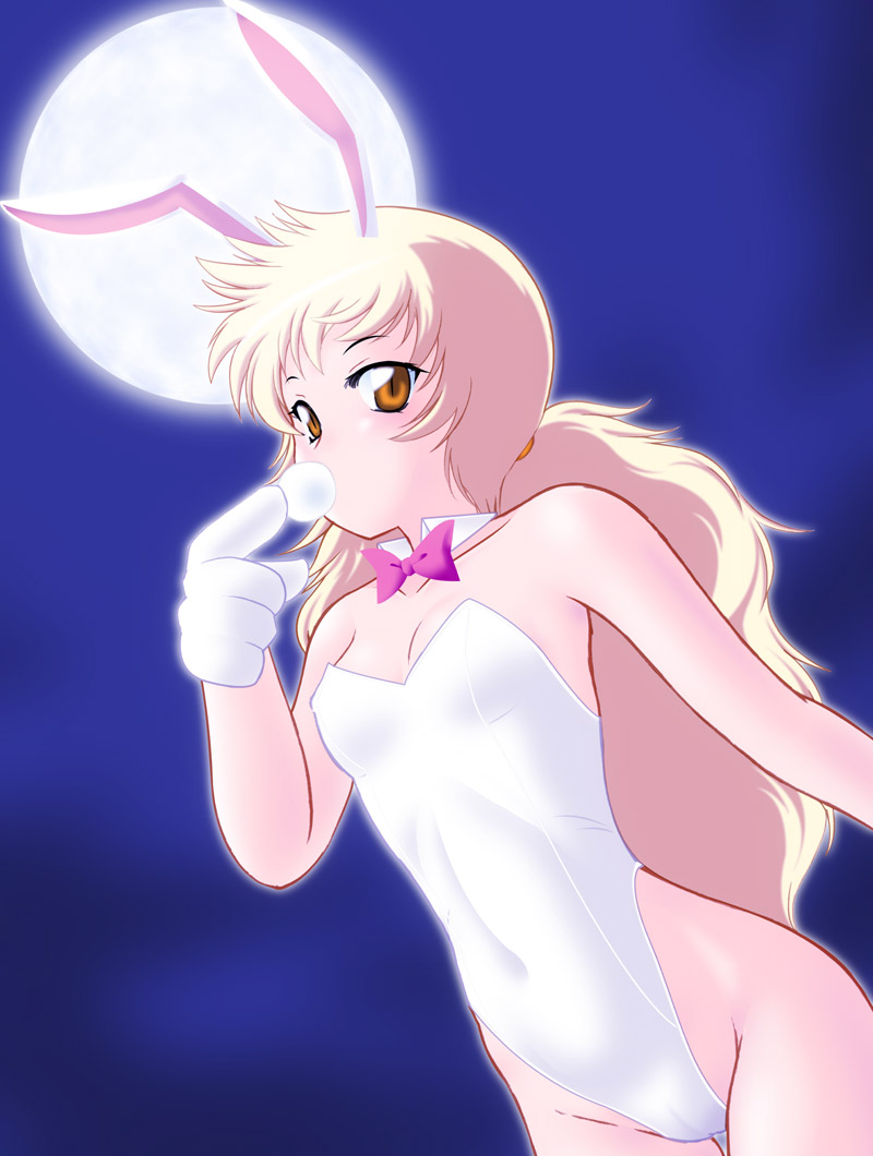 bare_legs, bunny_ears, bunnysuit, gloves, hakkai, inugami_hatsune, long_hair, moon