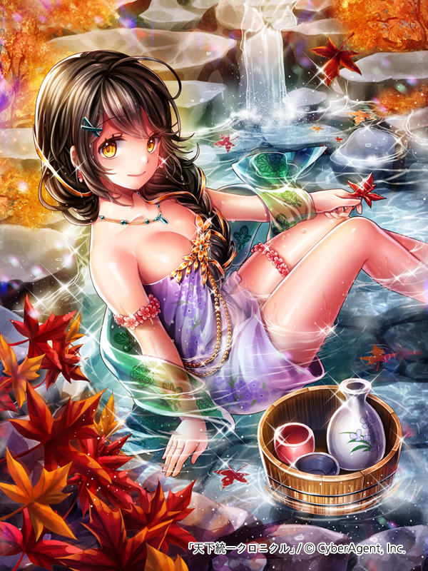 1girl, autumn_leaves, black_hair, braid, breasts, cleavage, collarbone, day