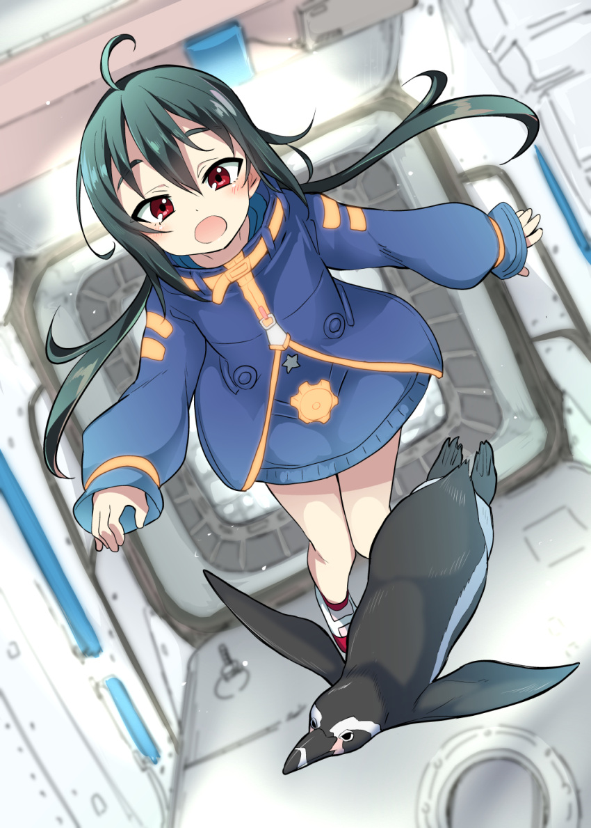 1girl, ahoge, bird, black_hair, blurry, blurry_background, commentary_request, highres