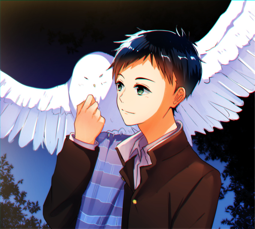 1boy, animal, animal_on_shoulder, bird, bird_on_shoulder, black_sky, blue_scarf, blue_sky, gradient_sky, green_eyes, hand_up, light_smile, male_focus, minato_narumiya, outdoors, owl, pochi_(iasoreil), scarf, school_uniform, sky, solo, striped, striped_scarf, tree, tsurune:_kazemai_koukou_kyuudoubu, upper_body