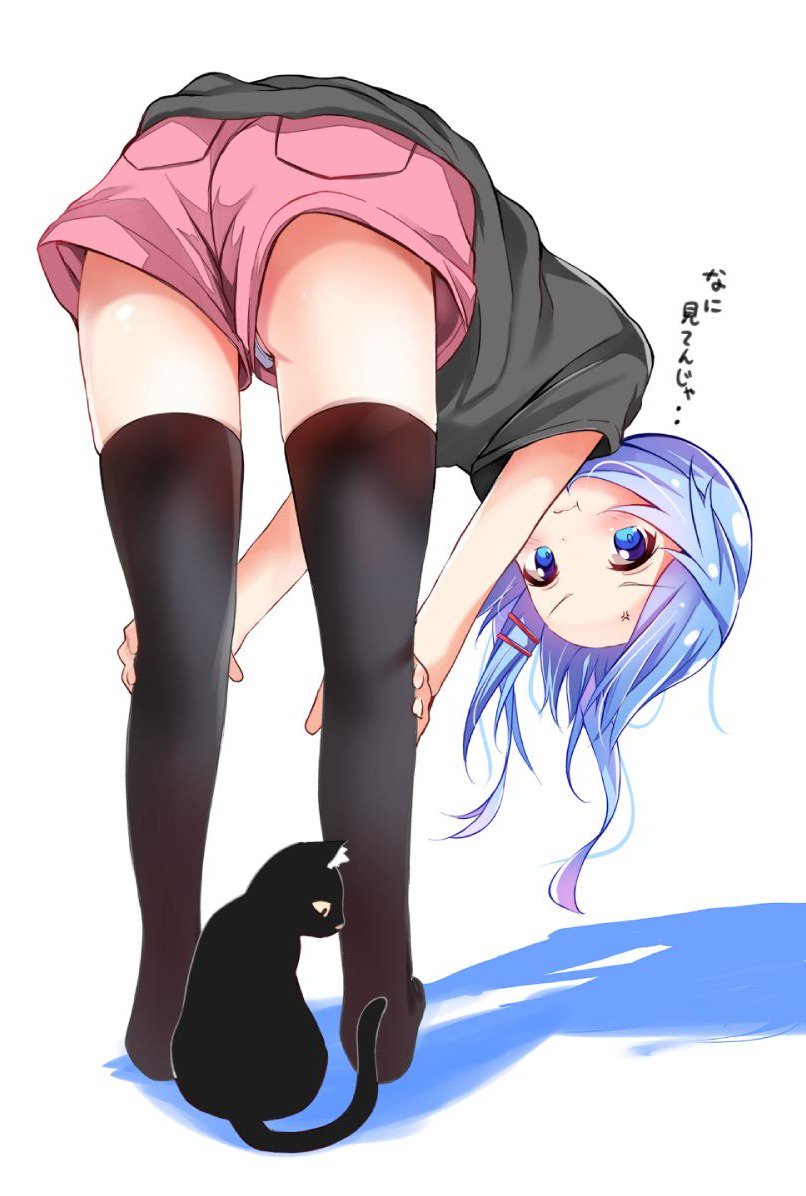 1girl, :p, bent_over, black_legwear, black_shirt, blue_eyes, blue_hair, cat