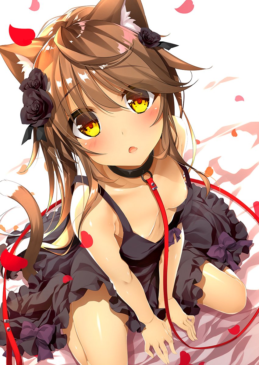 1girl, animal_ears, bangs, black_collar, black_dress, black_flower, black_rose, blush