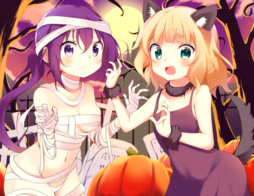 2girls, ahoge, animal_ears, bandage, bandages, bangs, blonde_hair, blue_eyes