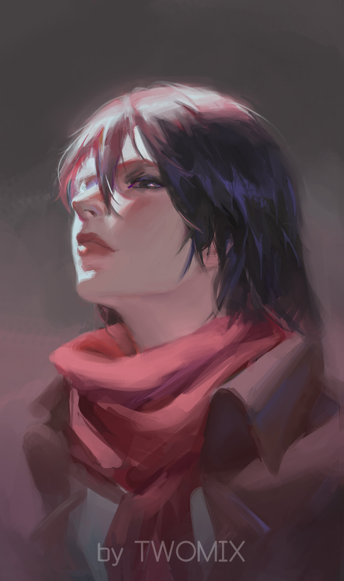 1girl, black_eyes, black_hair, emblem, jacket, looking_at_viewer, mikasa_ackerman, paradis_military_uniform