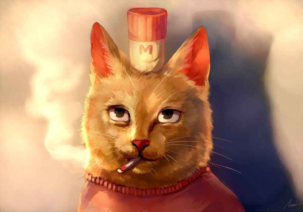 1other, black_eyes, burgerpants, cat, hat, looking_at_viewer, maa_tc, mini_hat