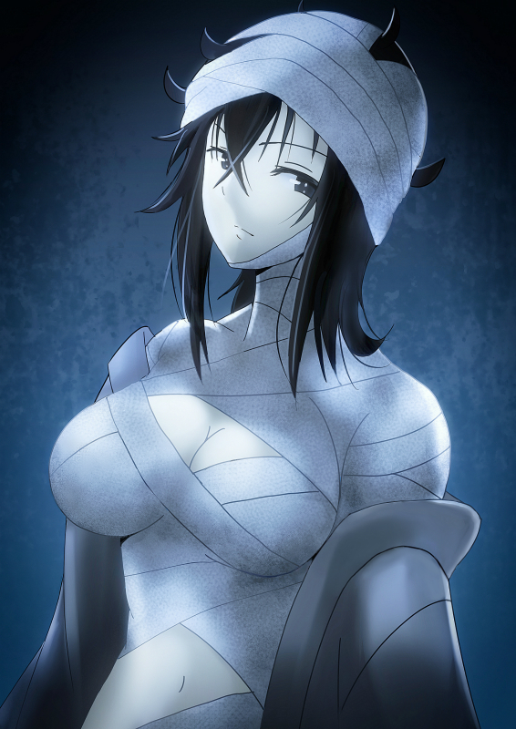 1girl, bandage, black_eyes, black_hair, breasts, cleavage, closed_mouth, fubuki_(senran_kagura)
