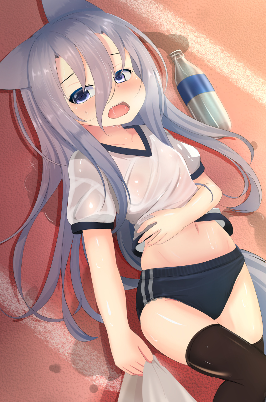 1girl, absurdres, animal_ears, black_legwear, blue_buruma, bottle, buruma, dog_ears