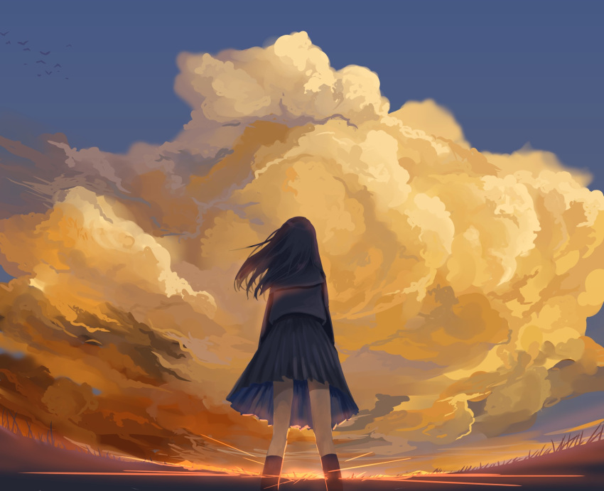 1girl, arms_at_sides, bird, black_hair, black_legwear, blue_serafuku, blue_sky, clouds, diffraction_spikes, facing_away, feet_out_of_frame, fisheye, from_behind, from_below, grass, hair_blowing, highres, hino26, kneehighs, long_hair, looking_up, original, pleated_skirt, scenery, school_uniform, serafuku, skirt, sky, solo, standing, sunset, wind