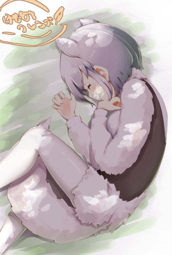 1girl, anteater_ears, anteater_tail, blush, closed_eyes, commentary_request, curled_up, extra_ears