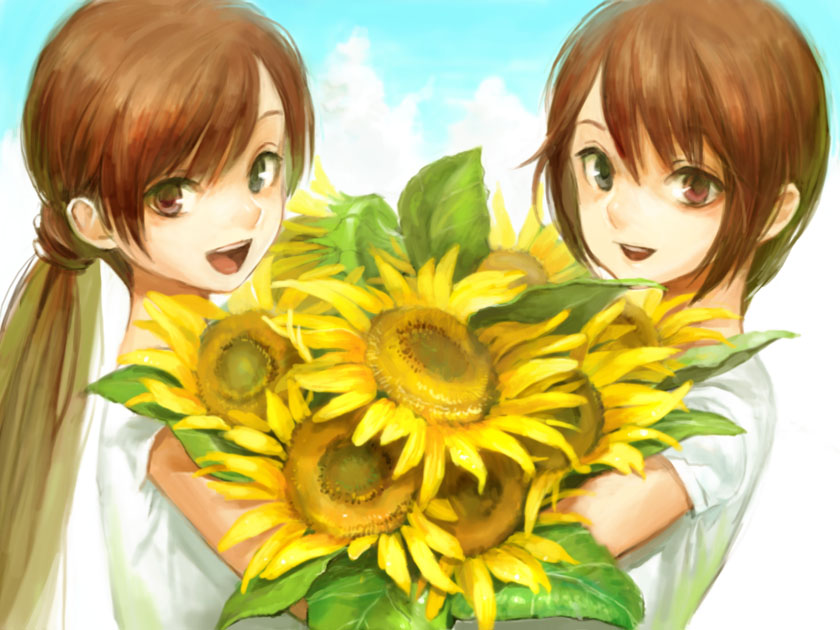 brown_hair, flower, heterochromia, long_hair, miya_(foolish_order), multiple_girls, ponytail, rozen_maiden