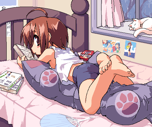 barefoot, bike_shorts, brown_eyes, brown_hair, cat, feet, lolita_fashion, lowres