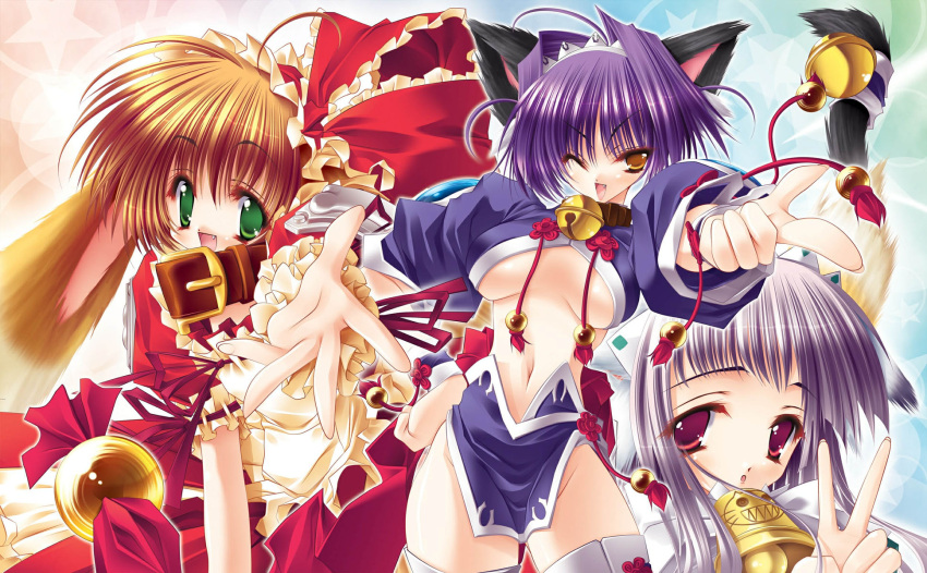ahoge, animal_ears, aoi_yuuji, cat_ears, cat_tail, catgirl, collar, dog_ears