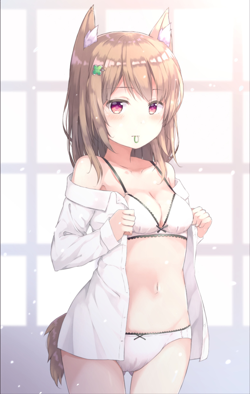 1girl, animal_ears, blush, bra, breasts, brown_hair, cleavage, clover_hair_ornament