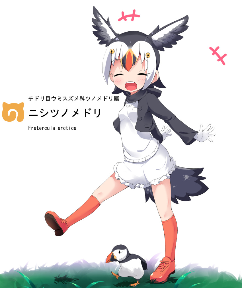 +++, 1girl, :d, ^_^, animal, atlantic_puffin_(kemono_friends), bird, black_hair