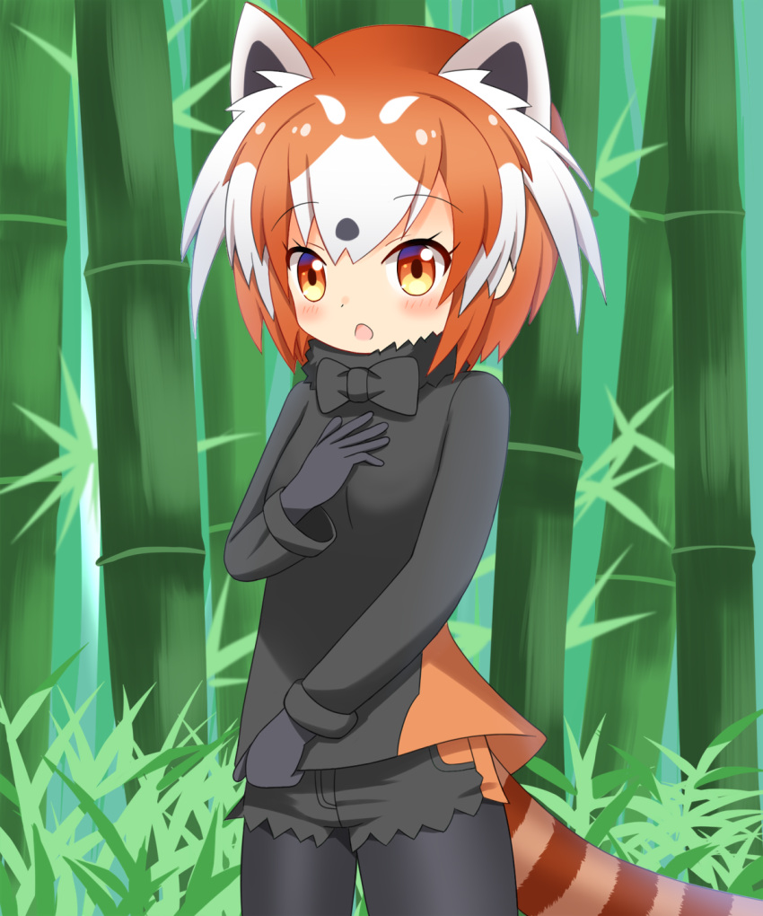 1girl, :o, animal_ears, bamboo, bamboo_forest, bangs, black_gloves, black_legwear
