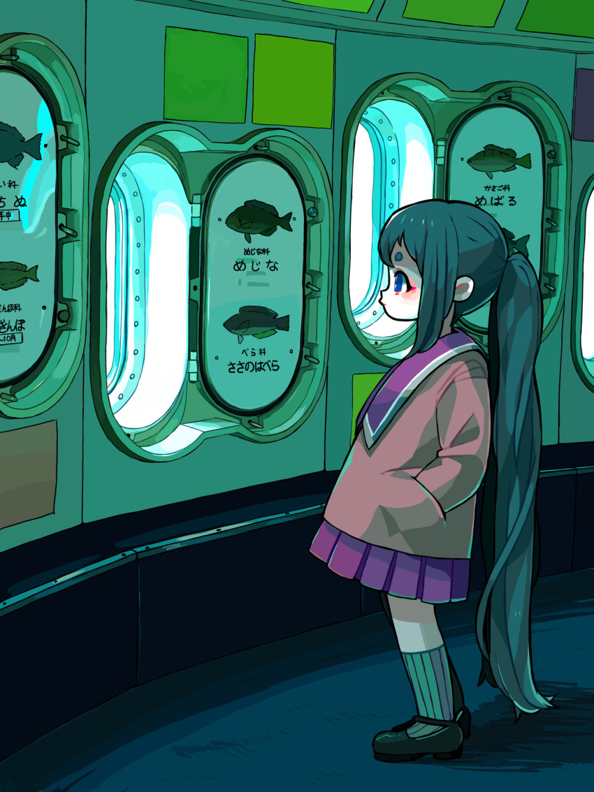 1girl, black_footwear, black_hair, blue_eyes, fish, fish_request, full_body, green_legwear