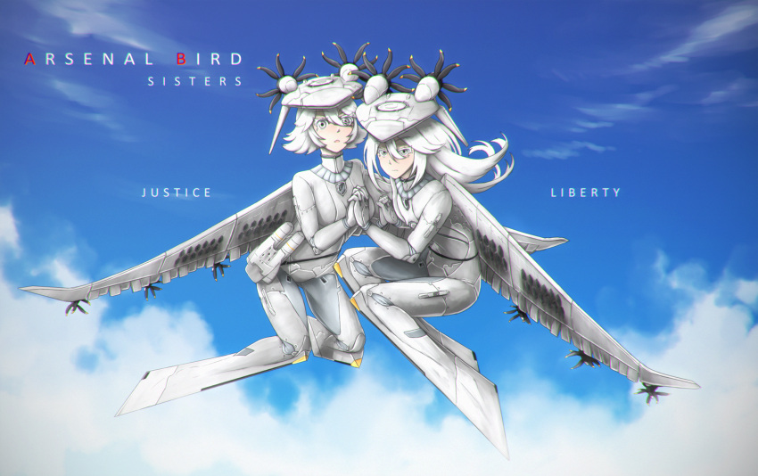 2girls, ace_combat_7, arsenal_bird, blue_sky, bodysuit, clouds, contra-rotating_propellers, flying