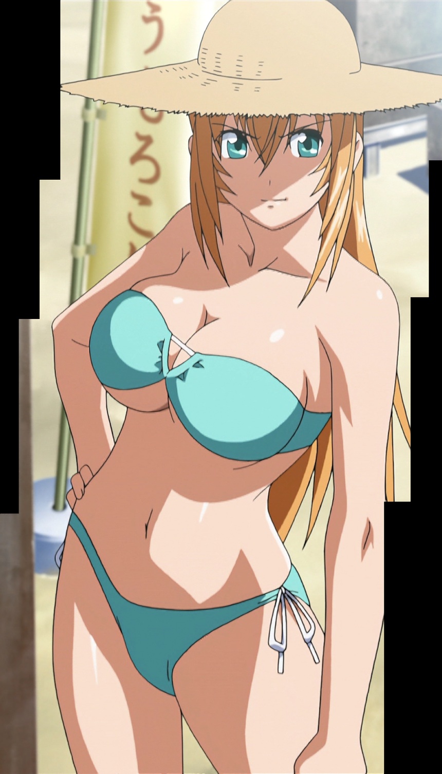 bikini, breasts, cap, hat, highres, ikkitousen, ikkitousen_great_guardians, screencap, sonsaku_hakufu, stitched, straw_hat, swimsuit, under_boob, underboob