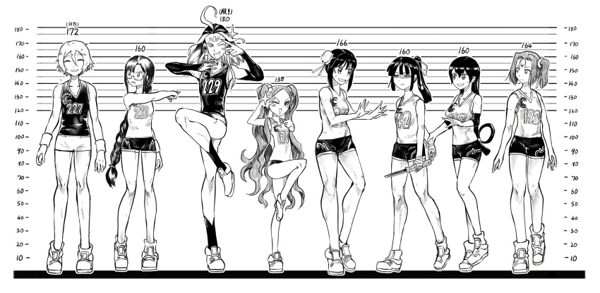 1boy, 1other, 6+girls, ahoge, bandage, braid, consort_yu_(fate), country_connection
