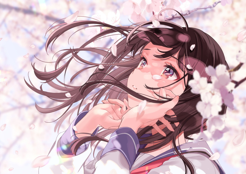 1girl, adjusting_hair, bangs, branch, brown_eyes, brown_hair, cherry_blossoms, commentary_request