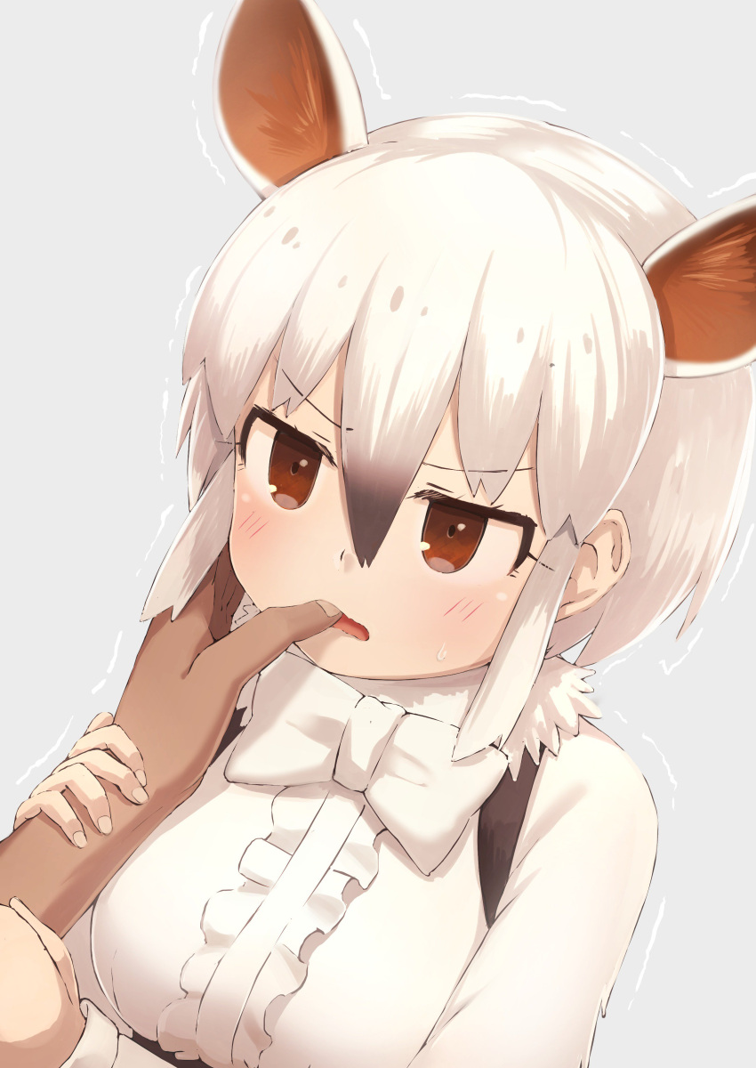 1girl, absurdres, animal_ears, bangs, black_hair, bow, bowtie, brown_eyes