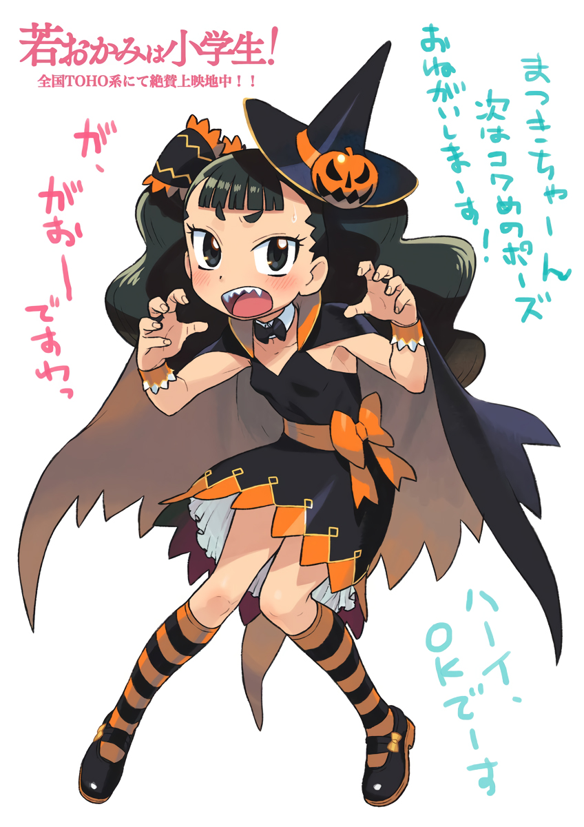 1girl, akino_matsuki, black_eyes, black_footwear, black_hair, bow, bowtie, cape, detached_collar, dress, fang, halloween, halloween_costume, hat, highres, ishikawa_hideki, jack-o'-lantern, kneehighs, long_hair, looking_at_viewer, mary_janes, official_art, sharp_teeth, shoes, socks, solo, striped, striped_legwear, sweatdrop, teeth, upper_teeth, wakaokami_wa_shougakusei, witch, witch_hat, wristband