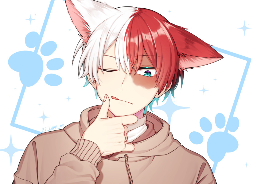 1boy, @, animal_ears, artist_name, boku_no_hero_academia, brown_hoodie, burn_scar, commentary_request