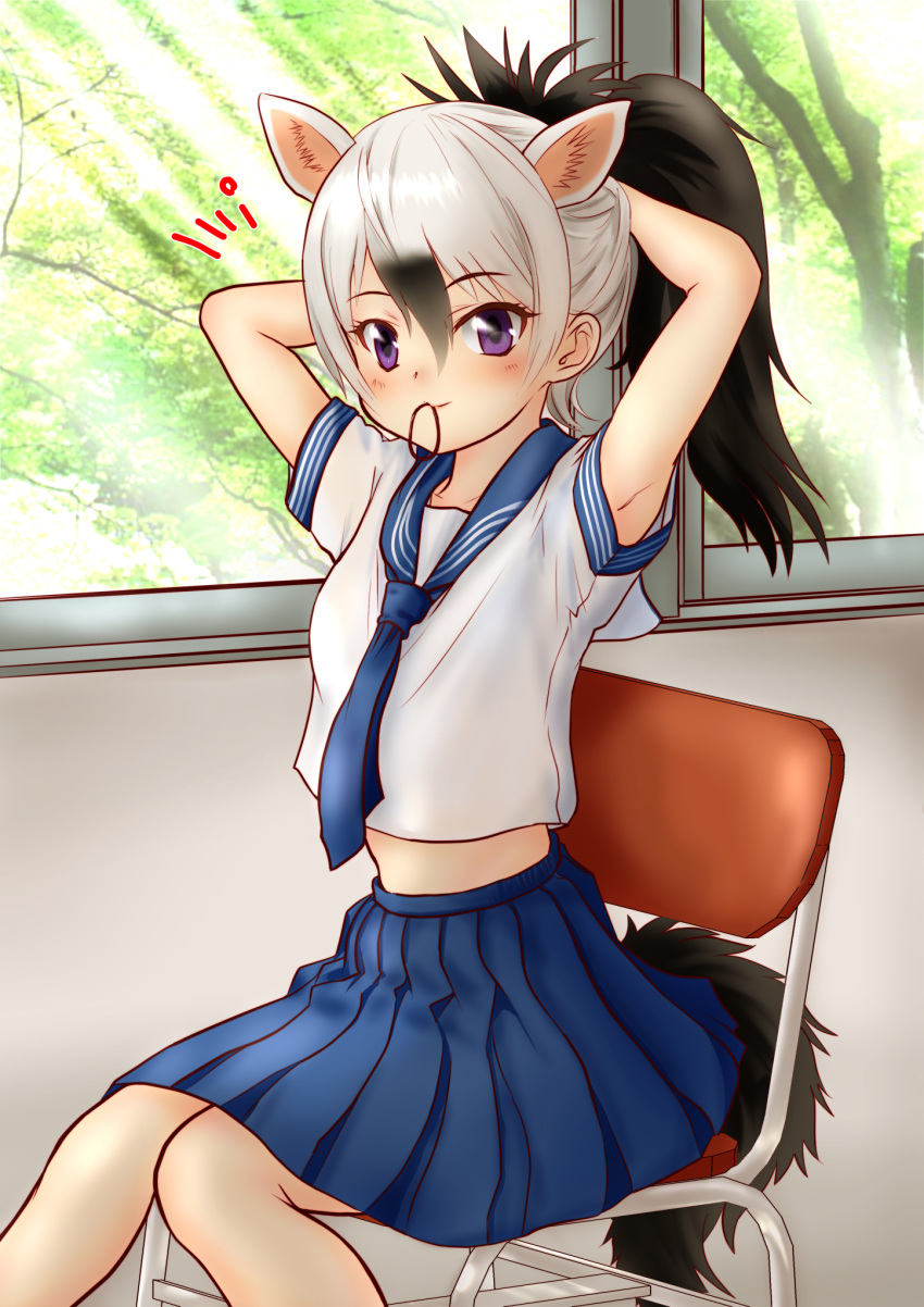 1girl, aardwolf_(kemono_friends), aardwolf_ears, aardwolf_tail, alternate_costume, armpits, arms_behind_head, arms_up, bangs, blue_eyes, blue_skirt, chair, commentary, day, extra_ears, eyebrows_visible_through_hair, hair_between_eyes, hair_tie_in_mouth, hakumaiya, highres, indoors, kemono_friends, long_hair, looking_at_viewer, midriff, mouth_hold, multicolored_hair, necktie, pleated_skirt, ponytail, school_uniform, serafuku, shirt, short_sleeves, sitting, skirt, smile, solo, two-tone_hair, tying_hair, violet_eyes, white_shirt, window