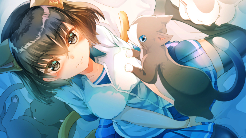 1girl, animal_ears, black_cat, black_hair, black_legwear, blue_eyes, blue_skirt, blush