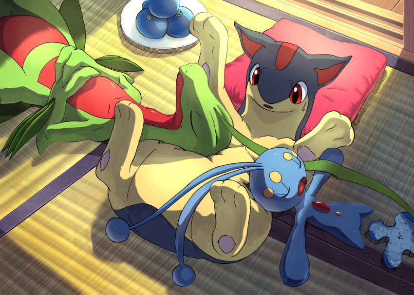 commentary_request, creatures_(company), dish, food, fruit, game_freak, gen_2_pokemon, gen_3_pokemon