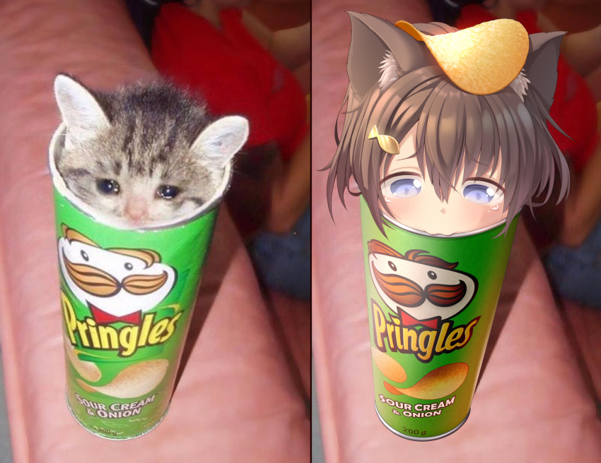 1girl, :3, animal_ears, blue_eyes, brown_hair, cat, cat_ears, chips