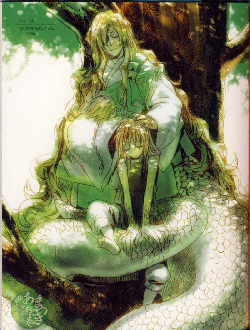 amatsuki, bonten_(character), byakuroku, byakuroku_(character), highres, in_tree, scan, sitting
