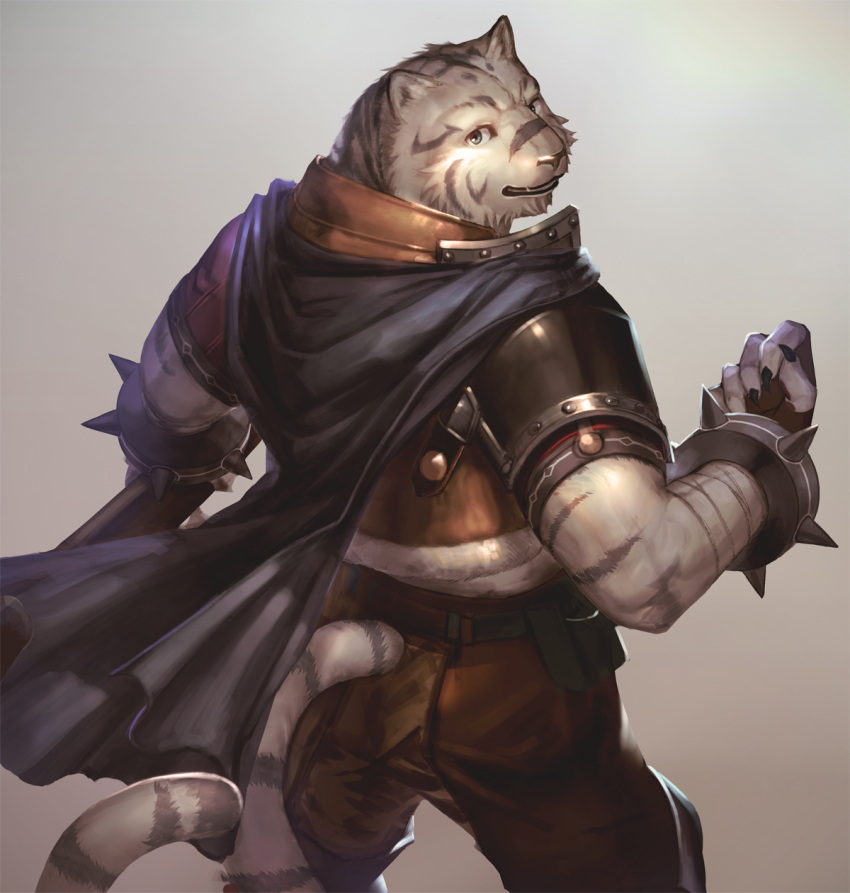 1boy, animal_ears, armor, belt, belt_pouch, bracelet, brown_pants, cape