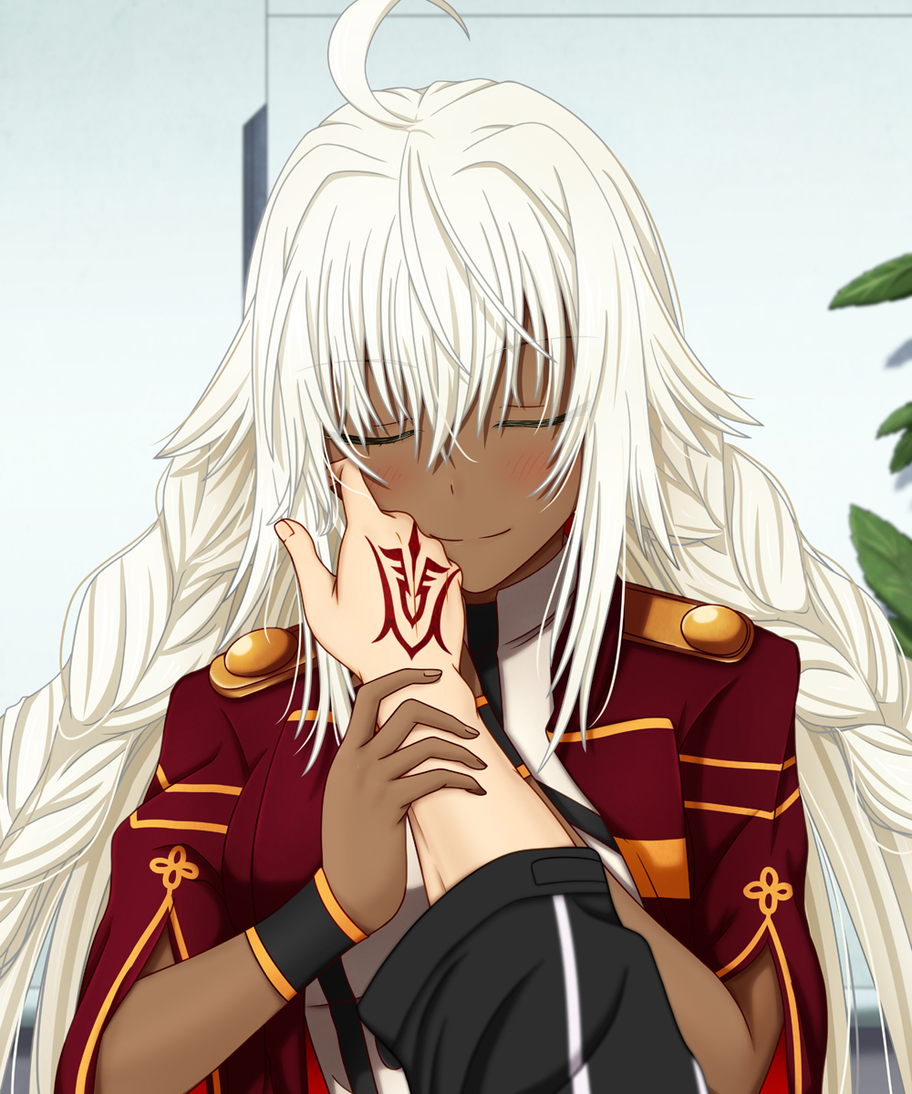 1boy, 1girl, ahoge, blush, bracelet, braid, cape, closed_eyes, command_spell, commentary_request, eyebrows_visible_through_hair, fate/grand_order, fate_(series), fujimaru_ritsuka_(male), hair_between_eyes, hand_on_another's_cheek, hand_on_another's_face, hasebe_akira, highres, jewelry, lakshmibai_(fate/grand_order), long_hair, pov, pov_hands, red_cape, smile, solo_focus, twin_braids, very_long_hair, white_hair, wrist_grab