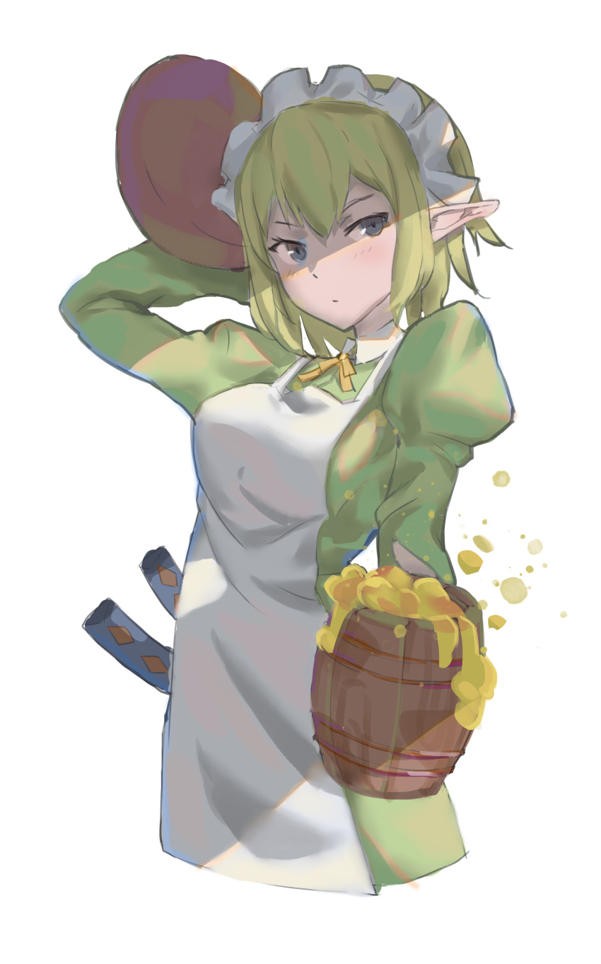 1girl, absurdres, blue_eyes, closed_mouth, dungeon_ni_deai_wo_motomeru_no_wa_machigatteiru_darou_ka, elf, green_hair, highres