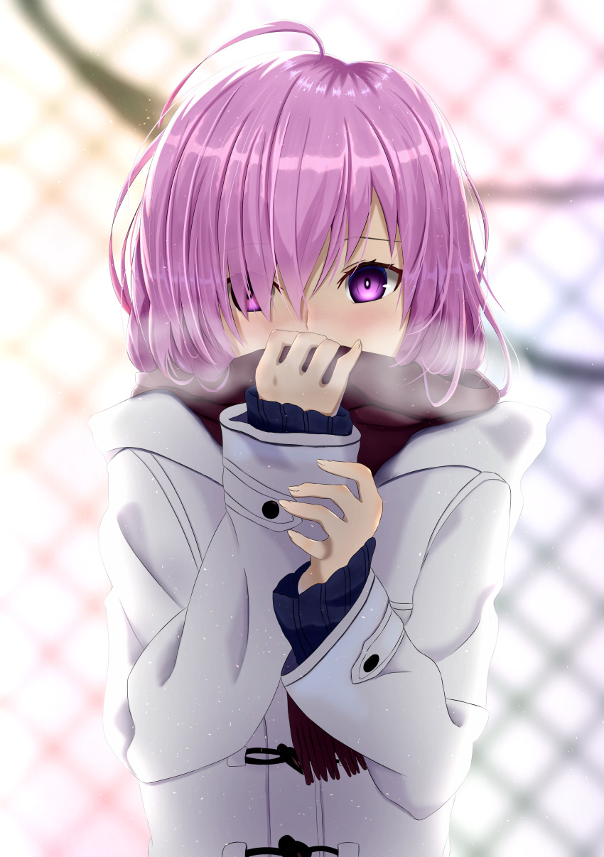1girl, absurdres, ahoge, backlighting, blue_sweater, brown_scarf, coat, eyes_visible_through_hair