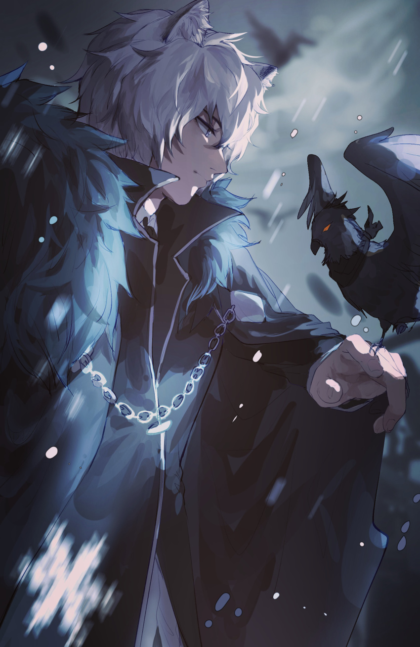 1boy, animal_ear_fluff, animal_ears, arknights, bird, bird_on_hand, black_jacket, bokuken